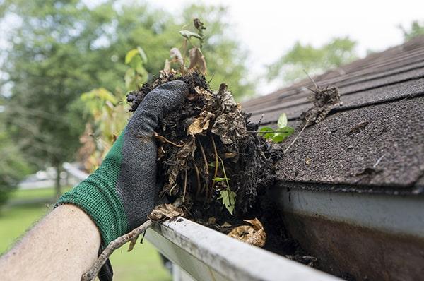 regular gutter cleaning can indeed help prevent ice dams from forming during the winter